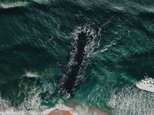 Preview wallpaper sea, coast, aerial view, water, breakwater