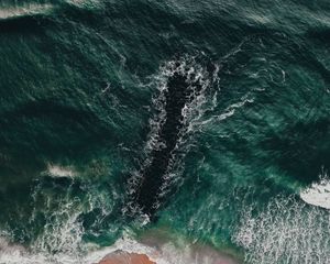 Preview wallpaper sea, coast, aerial view, water, breakwater