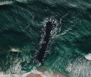 Preview wallpaper sea, coast, aerial view, water, breakwater