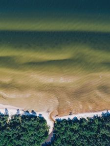 Preview wallpaper sea, coast, aerial view, water, trees