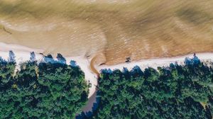 Preview wallpaper sea, coast, aerial view, water, trees