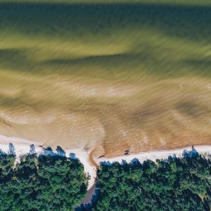 Preview wallpaper sea, coast, aerial view, water, trees