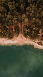 Preview wallpaper sea, coast, aerial view, sand, beach