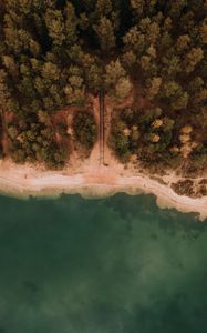 Preview wallpaper sea, coast, aerial view, sand, beach