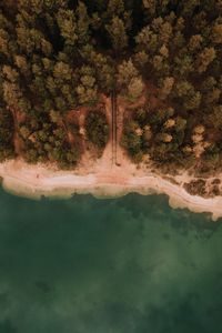 Preview wallpaper sea, coast, aerial view, sand, beach