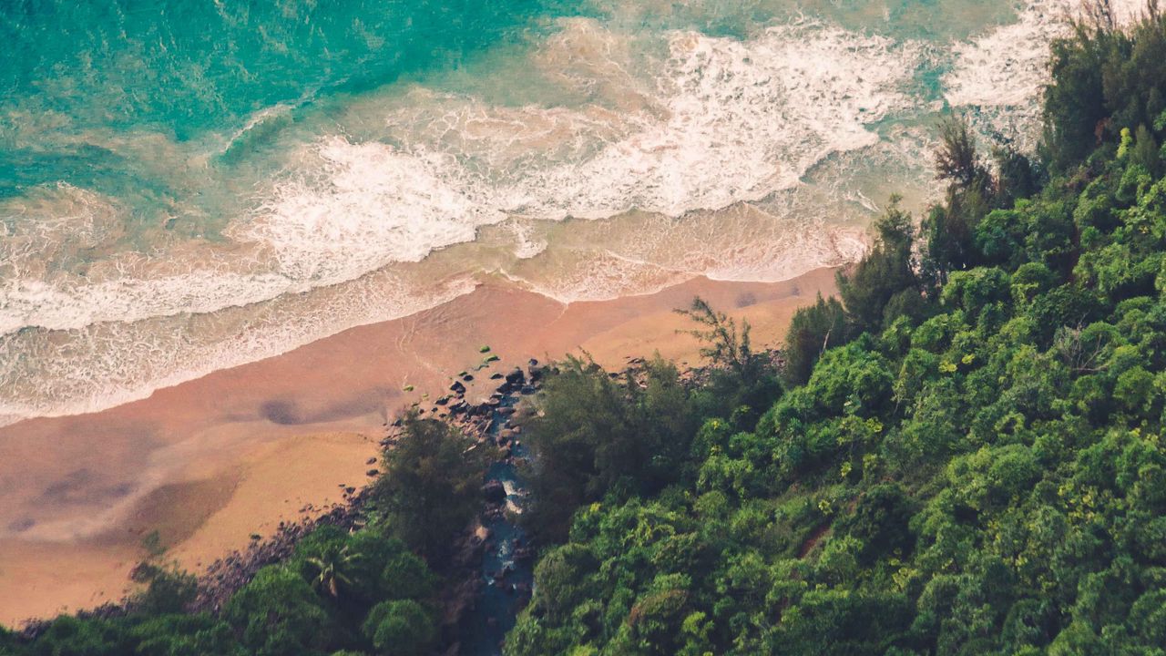 Wallpaper sea, coast, beach, water, aerial view