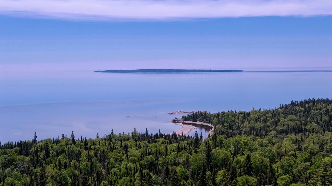 Wallpaper sea, coast, forest, nature