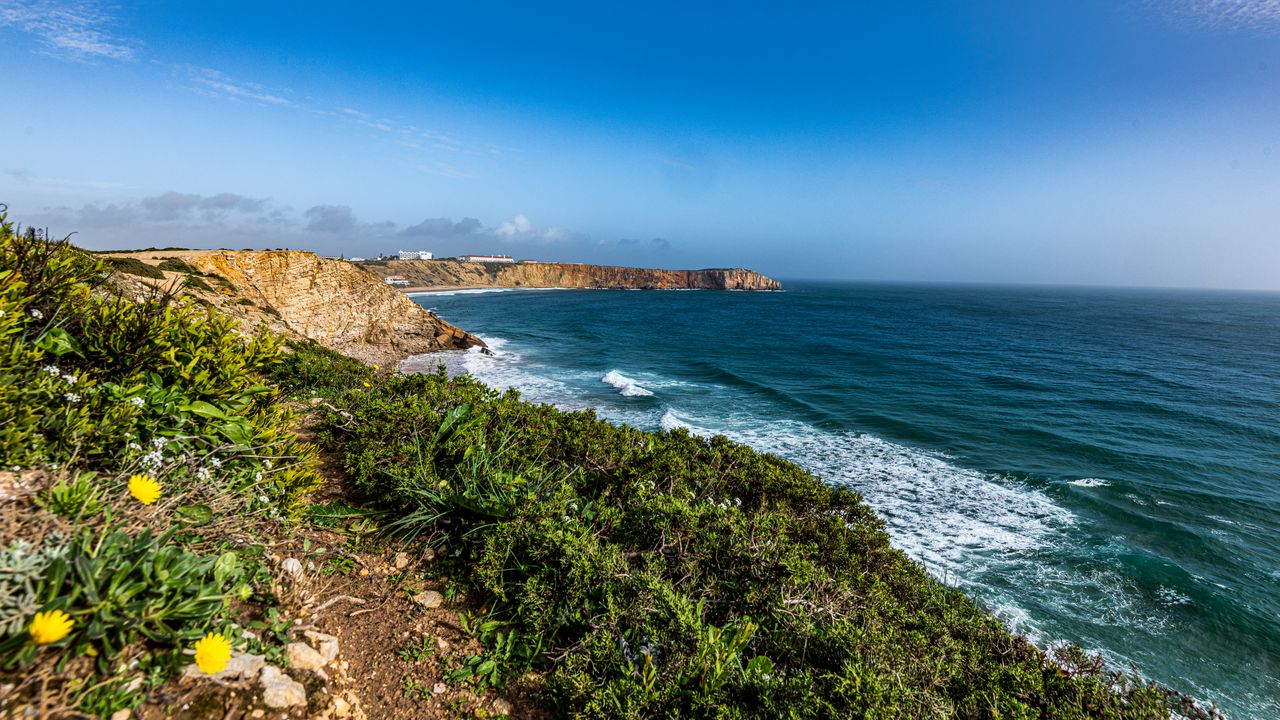 Wallpaper sea, coast, grass, nature
