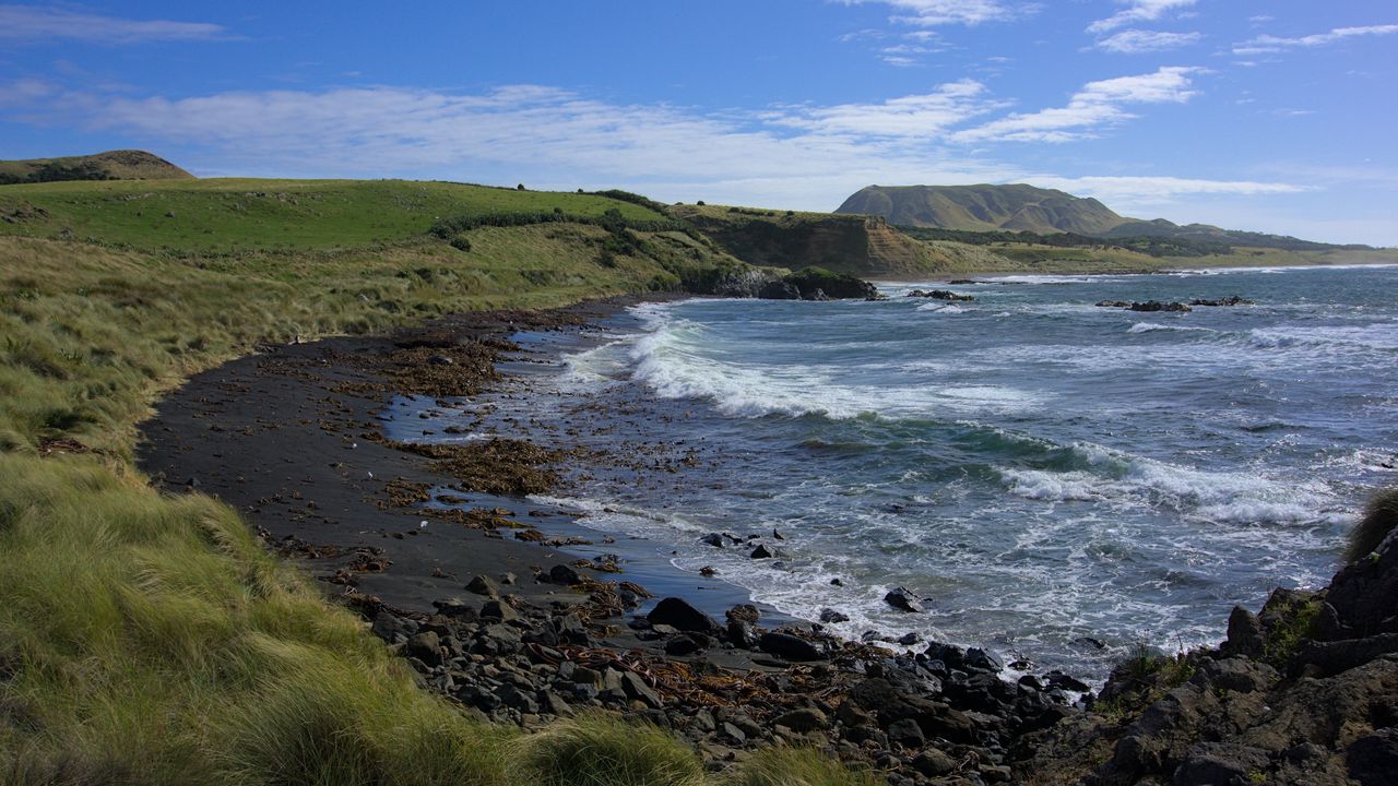 Wallpaper sea, coast, grass, landscape