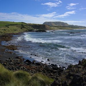 Preview wallpaper sea, coast, grass, landscape