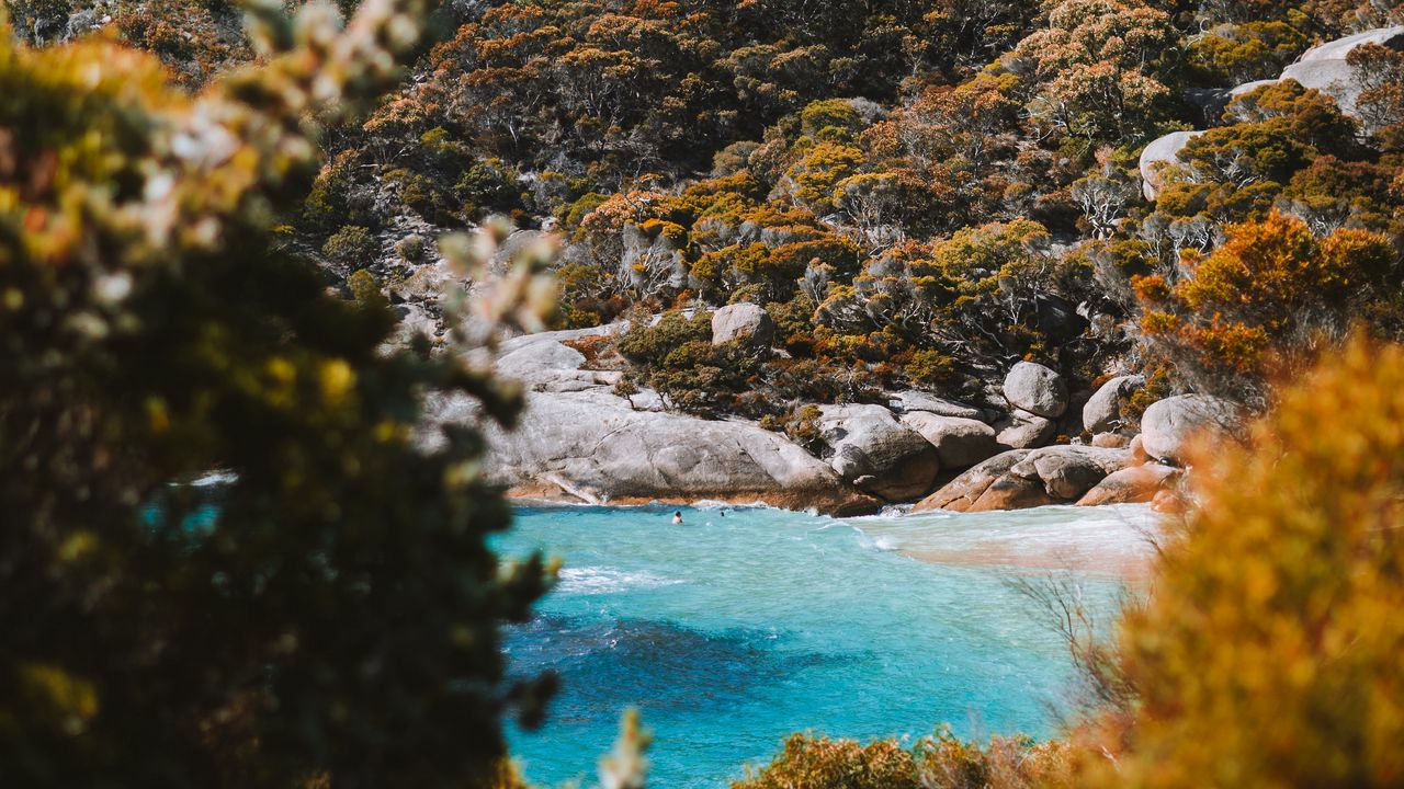 Wallpaper sea, coast, hill, stones, bushes