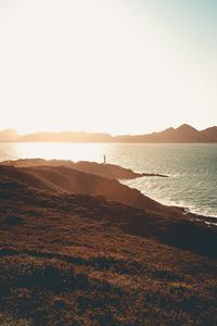 Preview wallpaper sea, coast, hills, lighthouse, sunlight