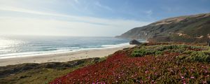 Preview wallpaper sea, coast, mountains, field, flowers, landscape