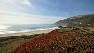 Preview wallpaper sea, coast, mountains, field, flowers, landscape