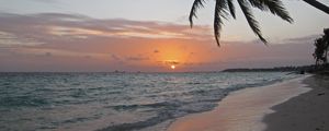 Preview wallpaper sea, coast, palm tree, tropics, sunrise