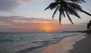 Preview wallpaper sea, coast, palm tree, tropics, sunrise