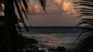 Preview wallpaper sea, coast, palm trees, branches, dusk