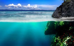 Preview wallpaper sea, coast, rocks, underwater world, vegetation, fish