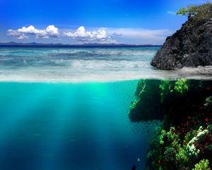 Preview wallpaper sea, coast, rocks, underwater world, vegetation, fish