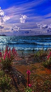Preview wallpaper sea, coast, sand, flowers, paints, colors, waves, day, clearly