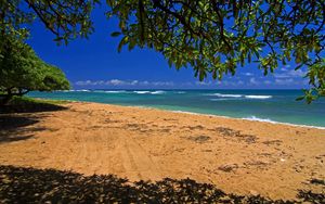 Preview wallpaper sea, coast, sand, traces, tree, branches, shadow