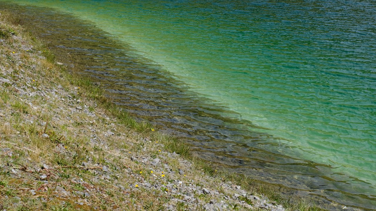 Wallpaper sea, coast, stones, grass, pebbles