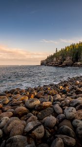 Preview wallpaper sea, coast, stones, rocks, forest