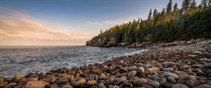 Preview wallpaper sea, coast, stones, rocks, forest