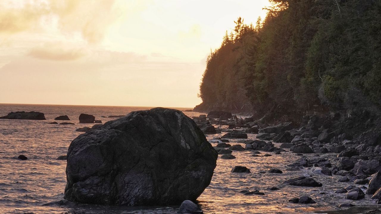 Wallpaper sea, coast, stones, trees, sunset, landscape