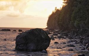 Preview wallpaper sea, coast, stones, trees, sunset, landscape