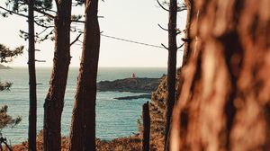 Preview wallpaper sea, coast, trees, nature, landscape