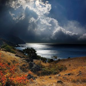 Preview wallpaper sea, crimea, sky, grass, beach, night