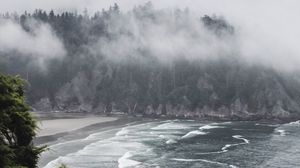 Preview wallpaper sea, fog, trees, bushes