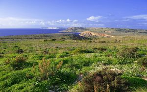 Preview wallpaper sea, grass, beach, summer