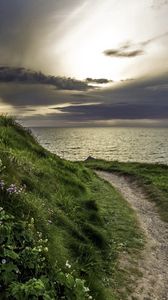 Preview wallpaper sea, grass, evening, flowers