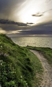 Preview wallpaper sea, grass, evening, flowers