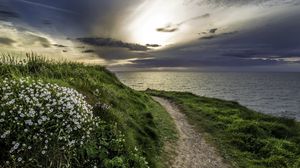 Preview wallpaper sea, grass, evening, flowers