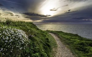 Preview wallpaper sea, grass, evening, flowers