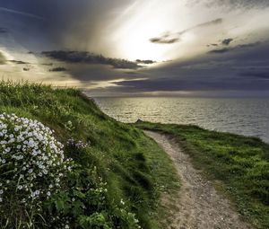 Preview wallpaper sea, grass, evening, flowers