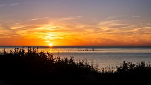 Preview wallpaper sea, grass, sunset, landscape, nature