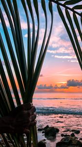 Preview wallpaper sea, hand, palm, leaves, sunset