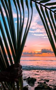 Preview wallpaper sea, hand, palm, leaves, sunset