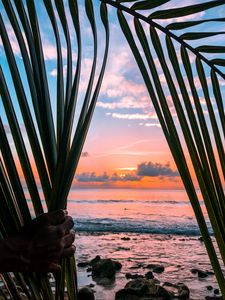 Preview wallpaper sea, hand, palm, leaves, sunset