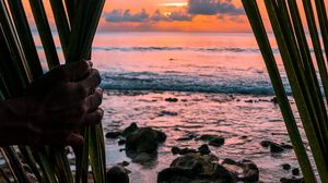 Preview wallpaper sea, hand, palm, leaves, sunset