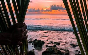 Preview wallpaper sea, hand, palm, leaves, sunset