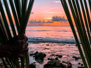 Preview wallpaper sea, hand, palm, leaves, sunset