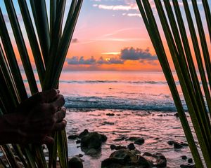 Preview wallpaper sea, hand, palm, leaves, sunset