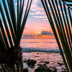 Preview wallpaper sea, hand, palm, leaves, sunset