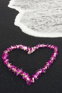 Preview wallpaper sea, heart, nature, landscape, flowers, love, romance