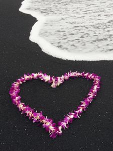 Preview wallpaper sea, heart, nature, landscape, flowers, love, romance